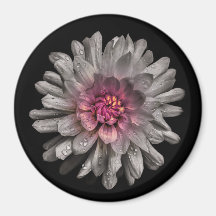 Backyard Flowers No 91 Färg Version