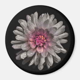 Backyard Flowers No 91 Färg Version Magnet