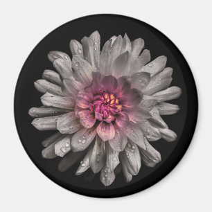 Backyard Flowers No 91 Färg Version Magnet