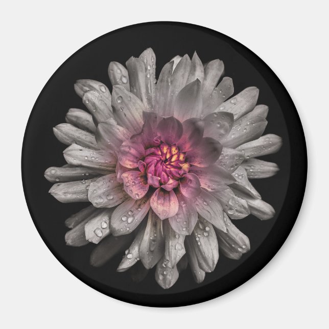 Backyard Flowers No 91 Färg Version Magnet (Framsidan)