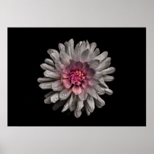 Backyard Flowers No 91 Färg Version Poster