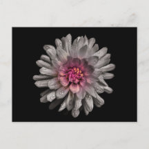 Backyard Flowers No 91 Färg Version