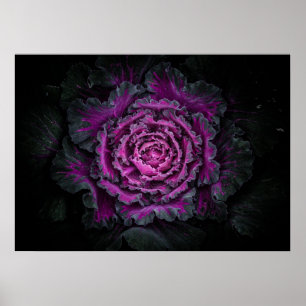 Backyard Flowers No 99 Färg Version Poster