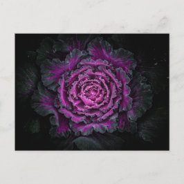 Backyard Flowers No 99 Färg Version Vykort