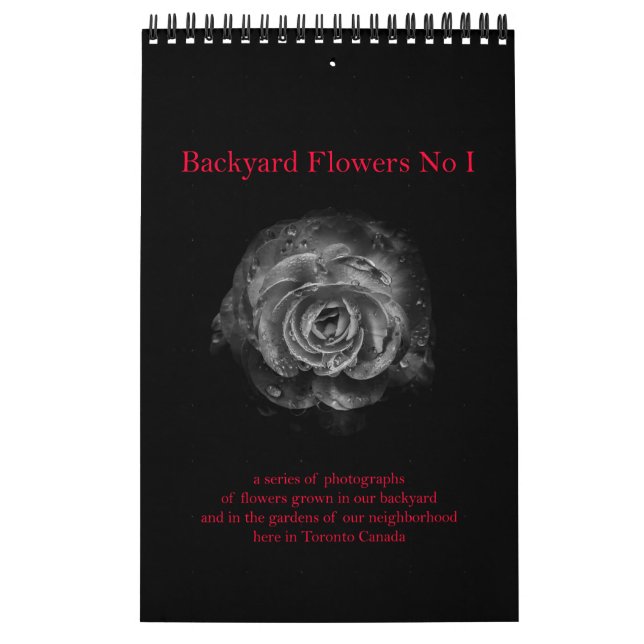 Backyard Flowers No I Kalender (Omslag)