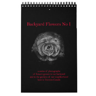 Backyard Flowers No I Kalender