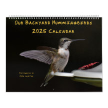 Backyard Hummingbird 11 x 14,25-tums kalender