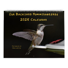 Backyard Hummingbird 11 x 14,25-tums kalender
