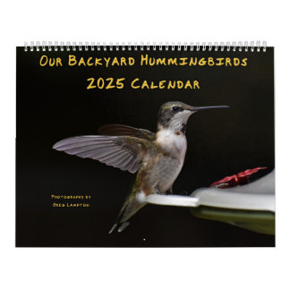 Backyard Hummingbird 11 x 14,25-tums kalender