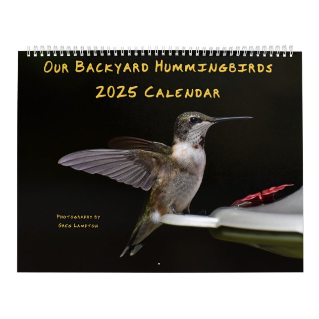 Backyard Hummingbird 11 x 14,25-tums kalender (Omslag)