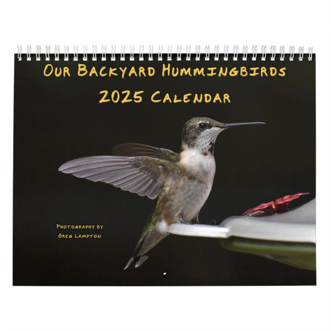 Backyard Hummingbird 8,5 x 11 tum Kalender (Omslag)