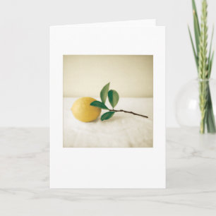 Backyard Meyer Lemon Photo Painting Blank Kort