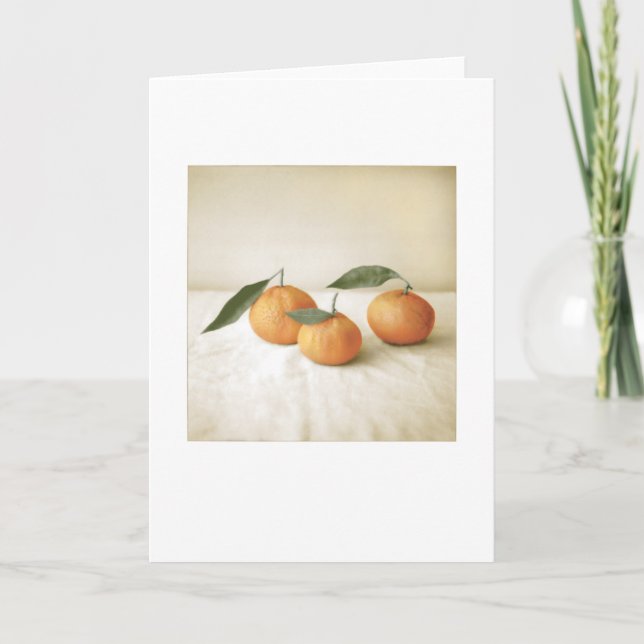 Backyard Satsuma Orange Photo Painting Blank Kort (Framsida)