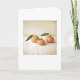 Backyard Satsuma Orange Photo Painting Blank Kort