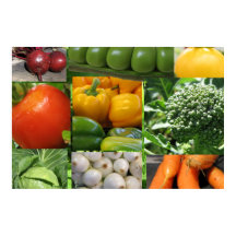 Backyard Vegetable Garden