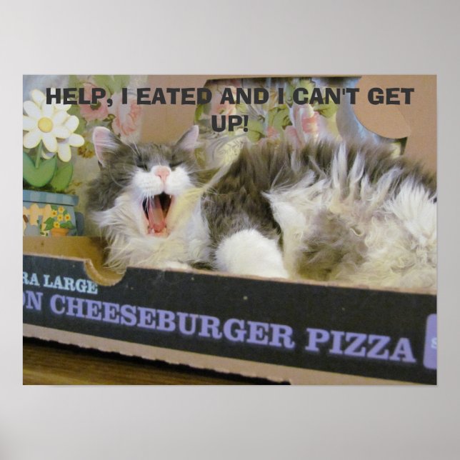 Bacon Cheeseburger Pizza Överdosering Kattunge Poster (Framsidan)