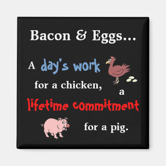 Bacon & Eggs-citat Magnet