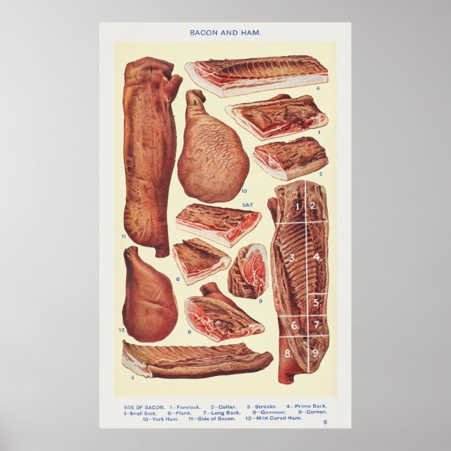 Bacon & Ham Poster (Framsidan)