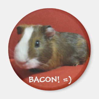 BACON! =) MAGNET