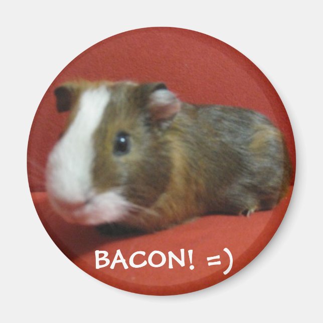 BACON! =) MAGNET (Framsidan)