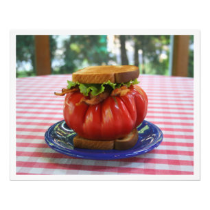 Bacon, Sallat och Giant Tomato Sandwich Fototryck