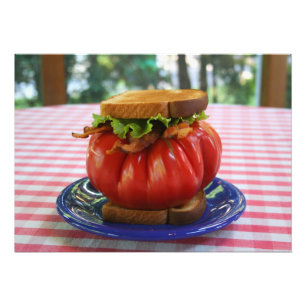 Bacon, Sallat och Giant Tomato Sandwich Fototryck