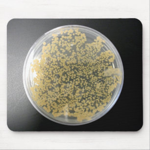 Bacteria Culture Plate Mousepad Musmatta