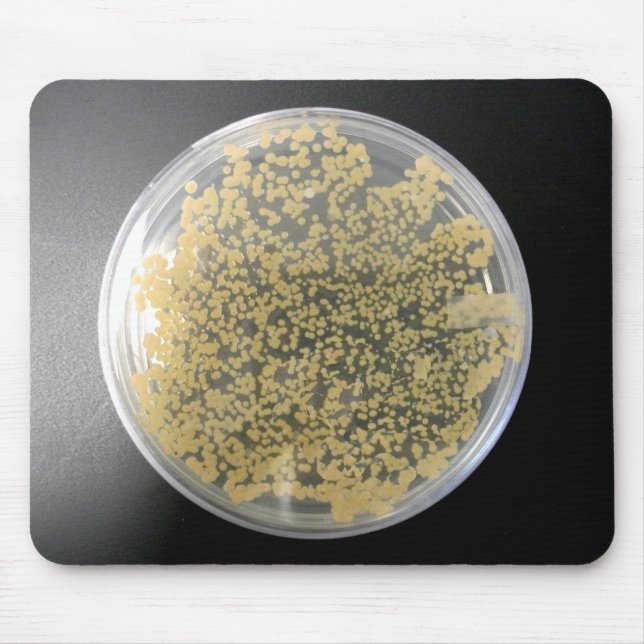Bacteria Culture Plate Mousepad Musmatta (Framsidan)