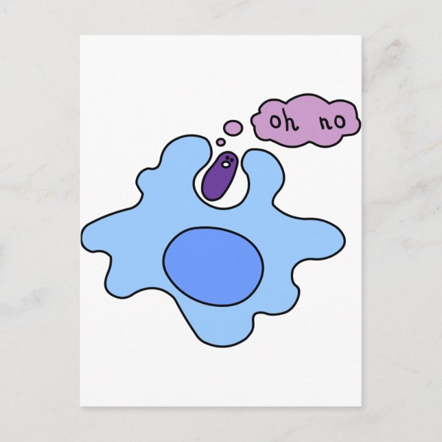 Bacteria Phagocytosis Vykort (Framsida)