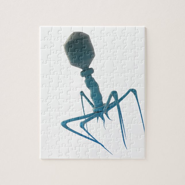 bacteriophage pussel (Vertikal)