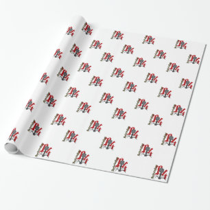 Bacteriophage T4 Presentpapper