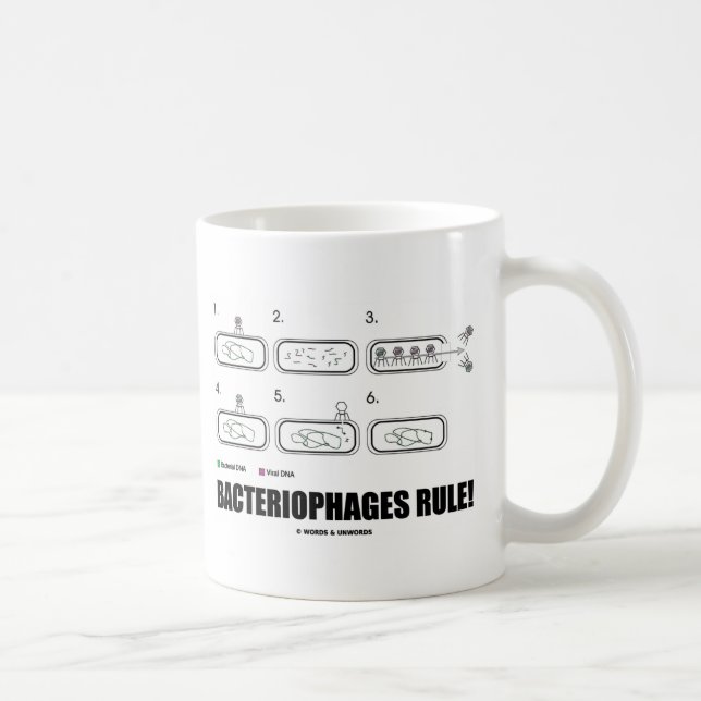 Bacteriophages härskar! (BakterievirusDNA) Kaffemugg (Höger)