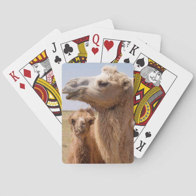 Bactrian Camel Porträtt Spel Kort (Baksidan)