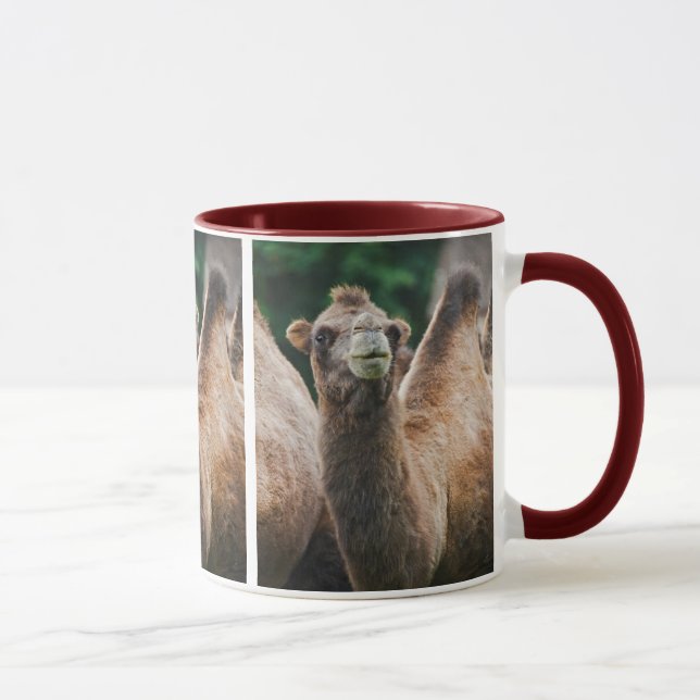 Bactrisk Kamel Mugg (Höger)