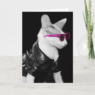 Bad Boy Cat i Shades Kort