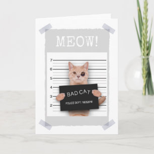 BAD CAT:s polischef Mugshot - MEOW! Kort