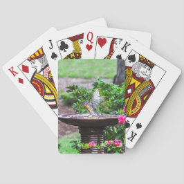 Bad för blåsångare som 030 leker kort spel kort