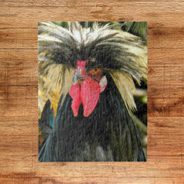 Bad Hair Chicken Photo Pussel