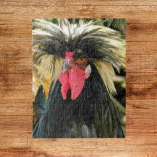 Bad Hair Chicken Photo Pussel