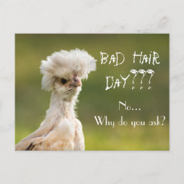 Bad Hair Day Chicken Vykort