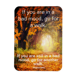 Bad Mood - Gå till en Walk, Motivational Quote Magnet