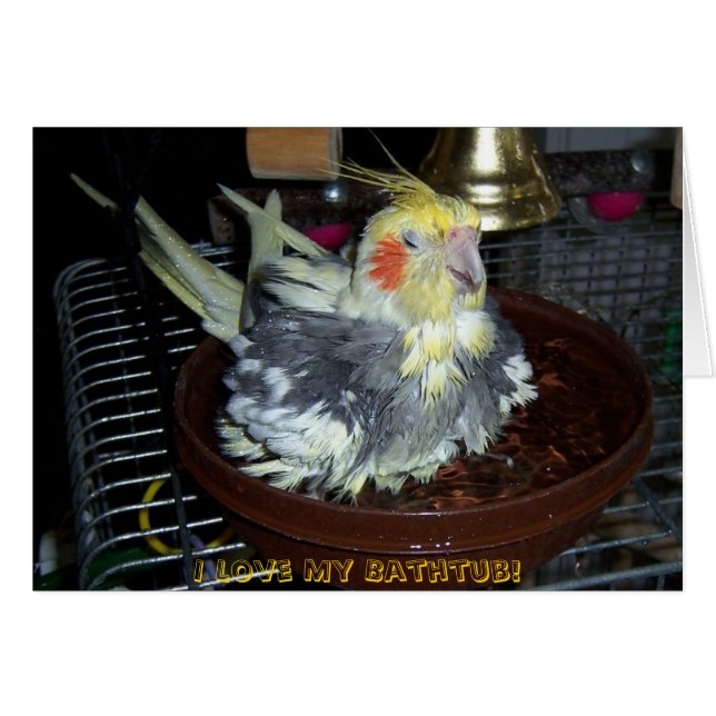 Bad Time Hälsningskort (Framsidan Horizontal)