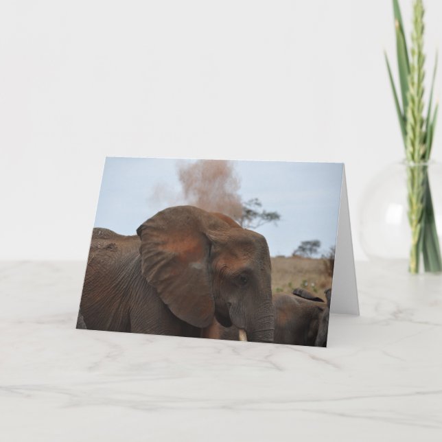 Bad Time Kort (Framsida)