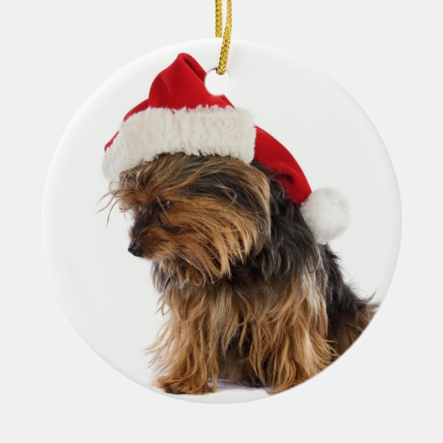 Bad Yorkie jul Ornament (Framsidan)