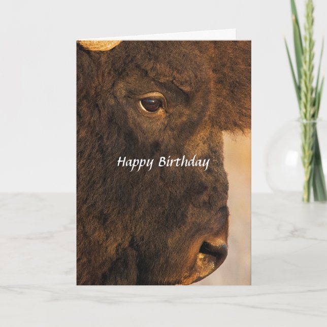 Båda ändar av humorkortet Buffalo 2 Kort (Framsida)