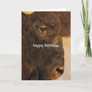 Båda ändar av humorkortet Buffalo 2 Kort