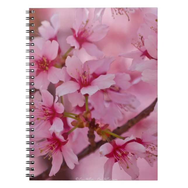 Bada i Rosa japanska Cherry-Blommar Anteckningsbok (Framsidan)