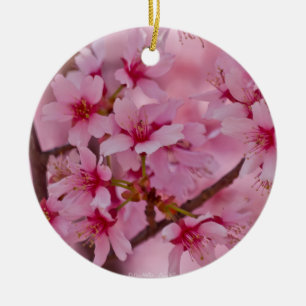 Bada i Rosa japanska Cherry-Blommar Julgransprydnad Keramik