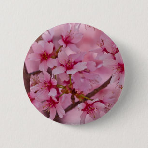 Bada i Rosa japanska Cherry-Blommar Knapp