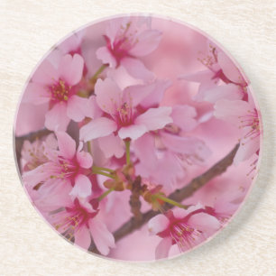 Bada i Rosa japanska Cherry-Blommar Underlägg Sandsten